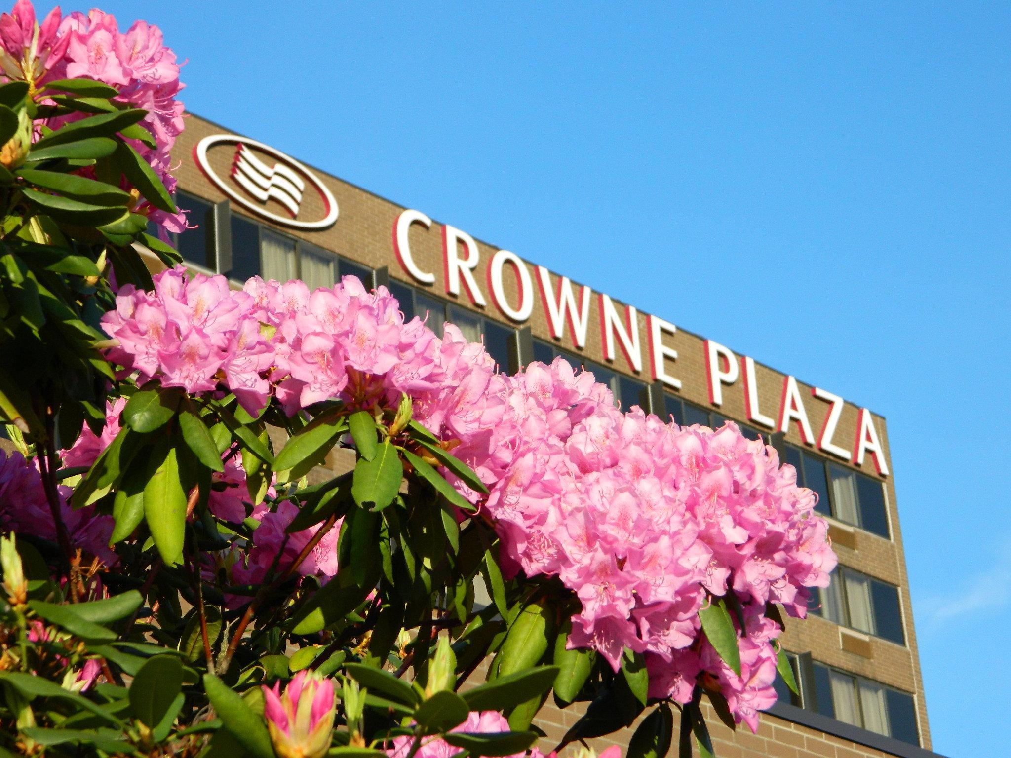 Crowne Plaza Danbury, An Ihg Hotel Exterior photo